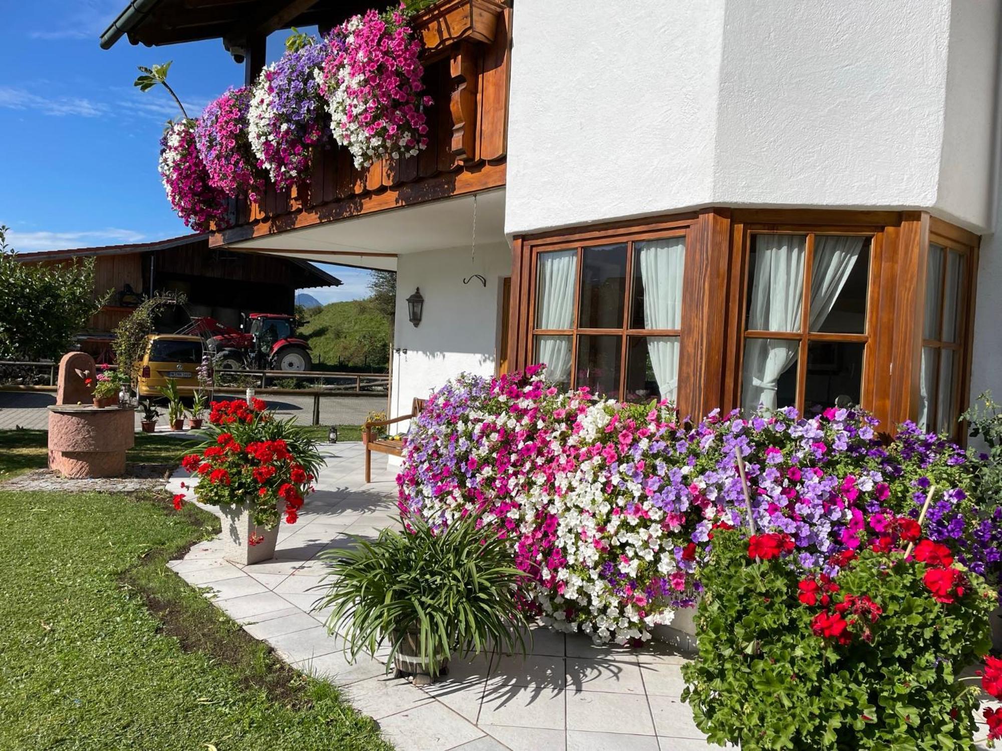 Gaestehaus Seeklause Schwangau Kültér fotó