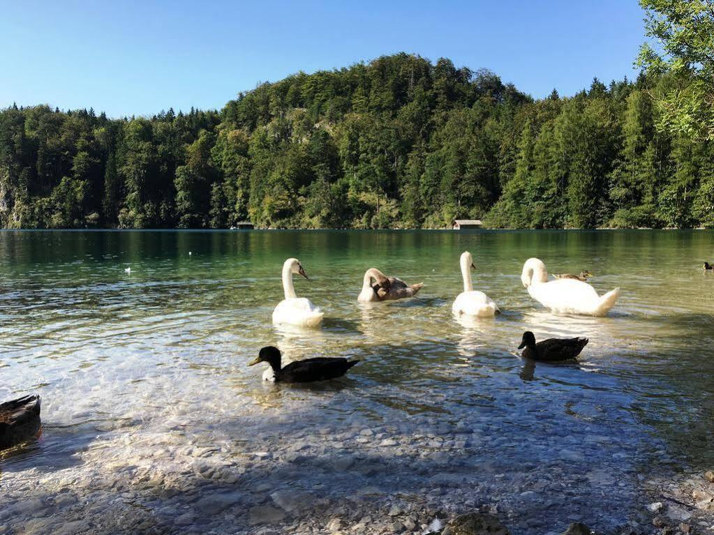 Gaestehaus Seeklause Schwangau Kültér fotó
